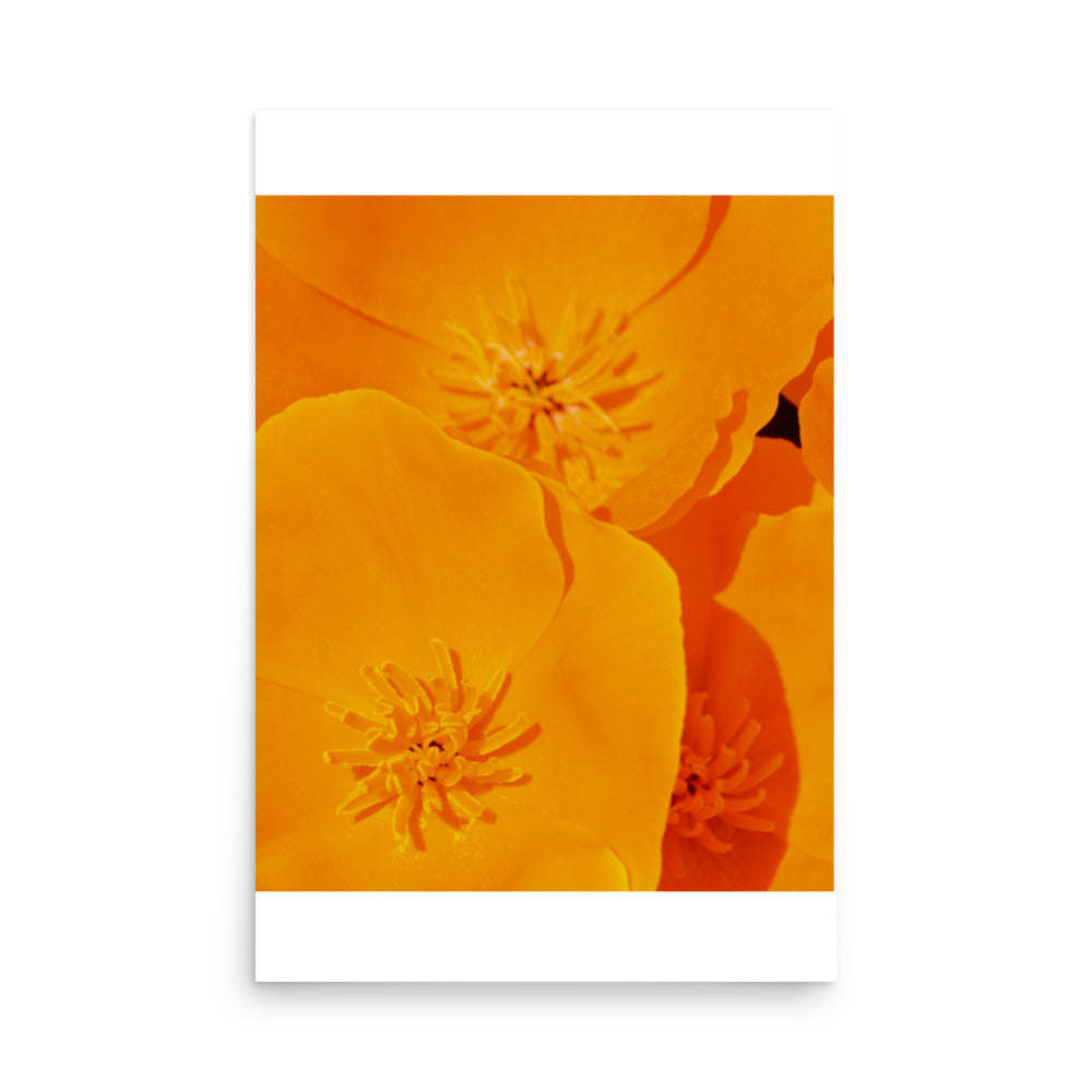 orange floral print poster art