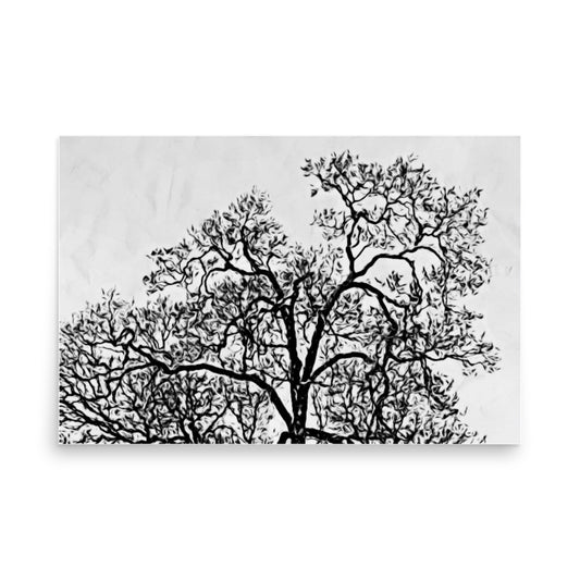 poster print of a massive tree