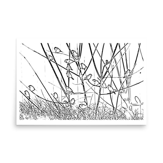 art poster print of birds in black and white
