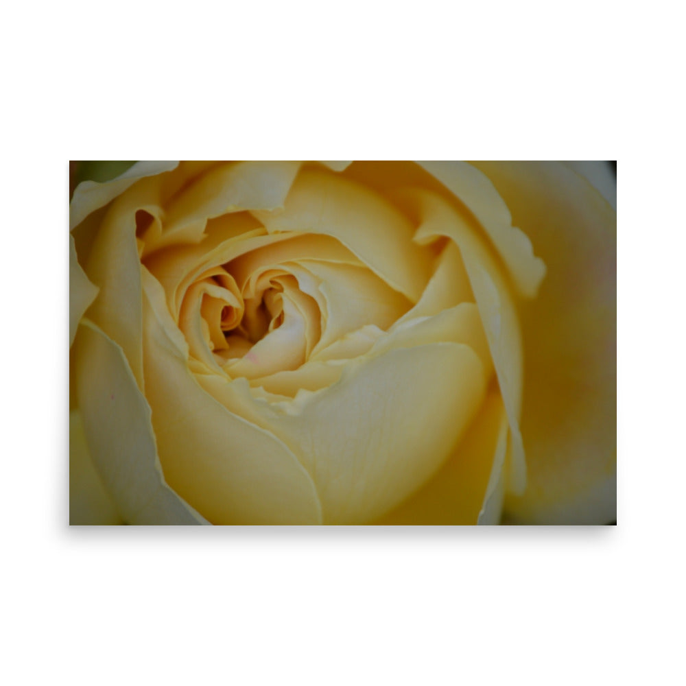 yellow floral poster print