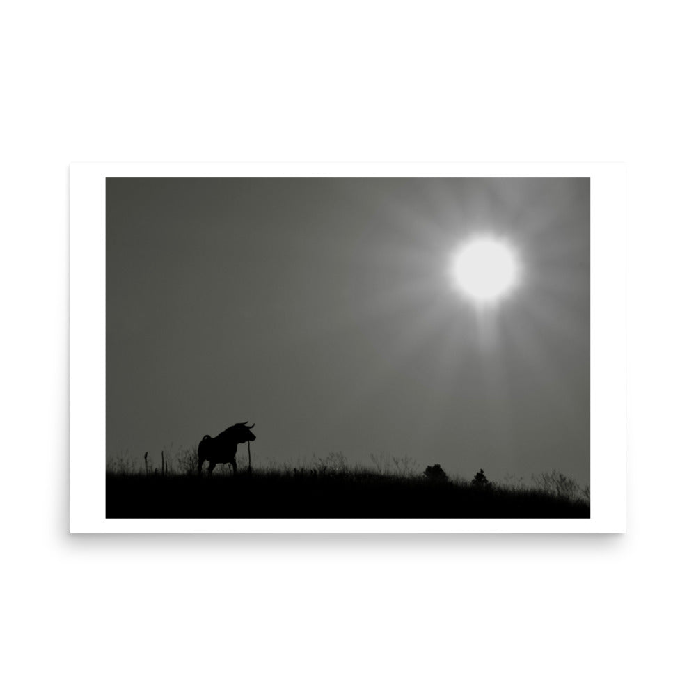 poster print black and white