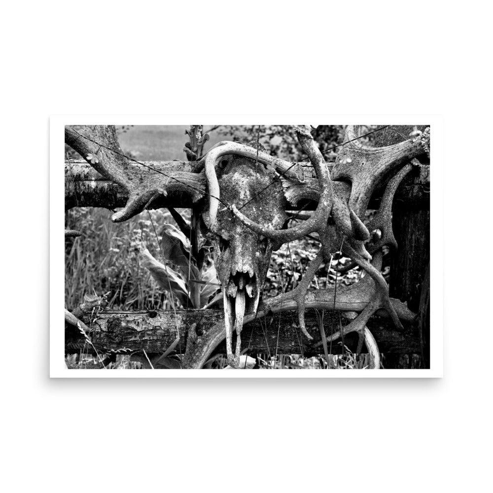 black and white poster print