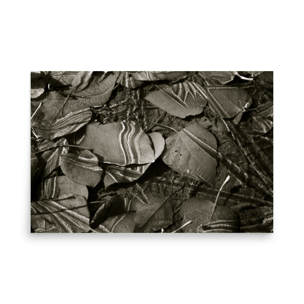 black and white print poster of light play from ice