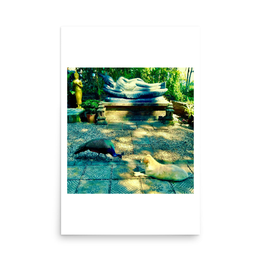 Poster print from a temple in Chiang Mai Thailand