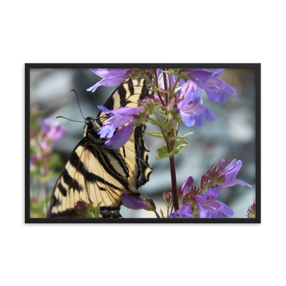 Yellow Butterfly Photography Art