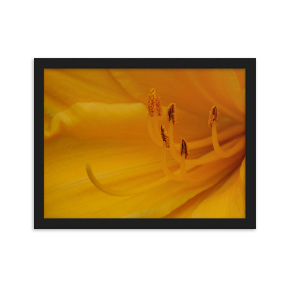 Yellow Floral Photography