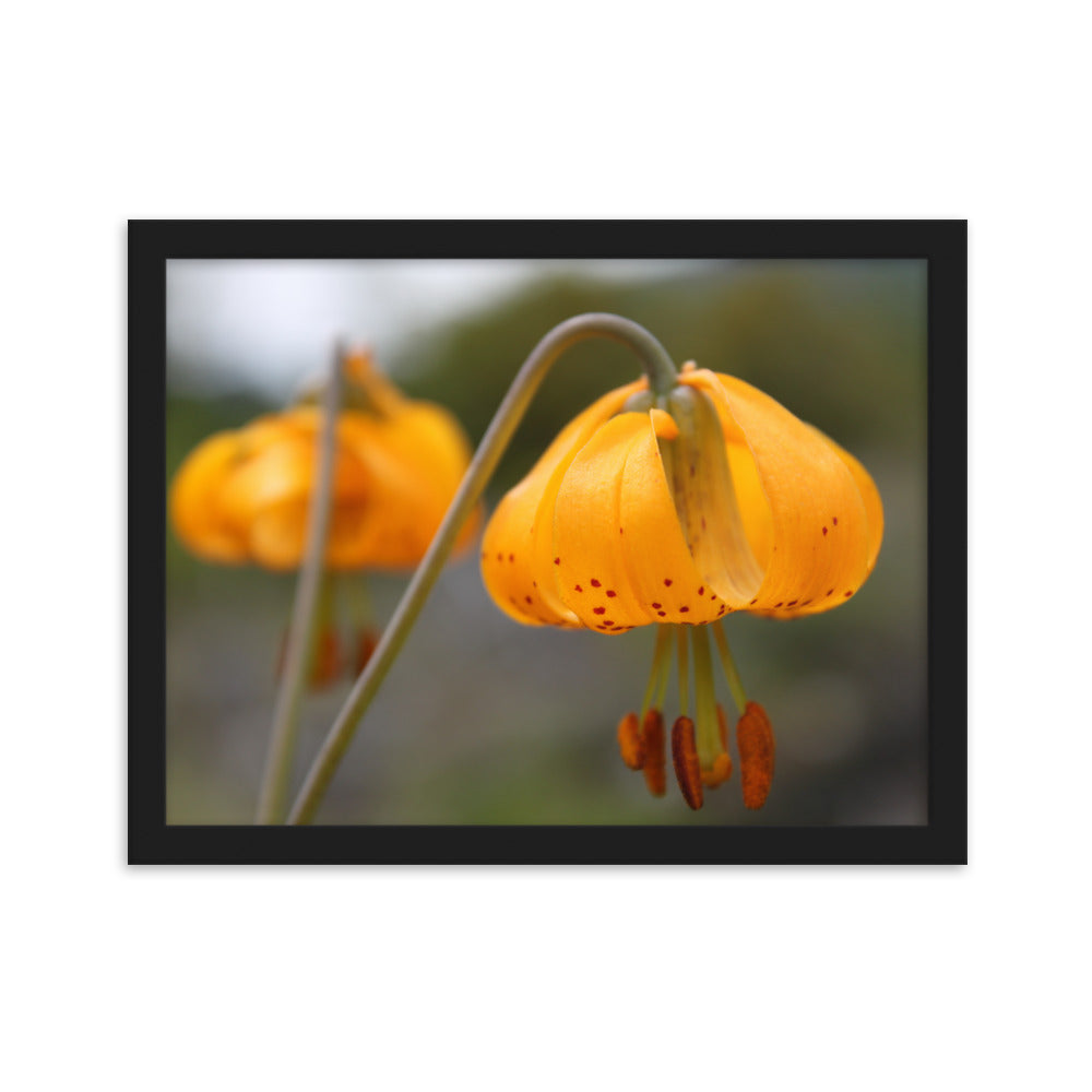 Yellow Floral Poster Art Prints