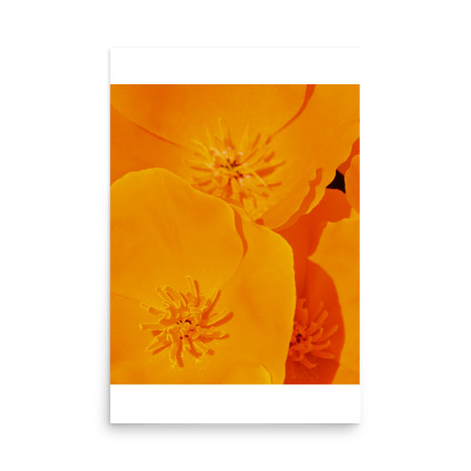 orange floral print poster art