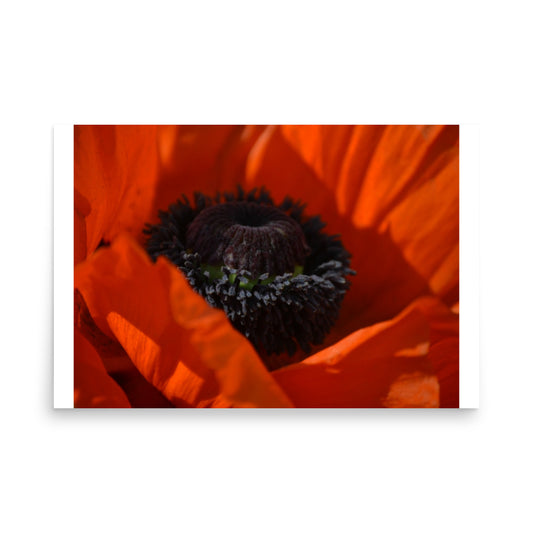 print poster art floral red