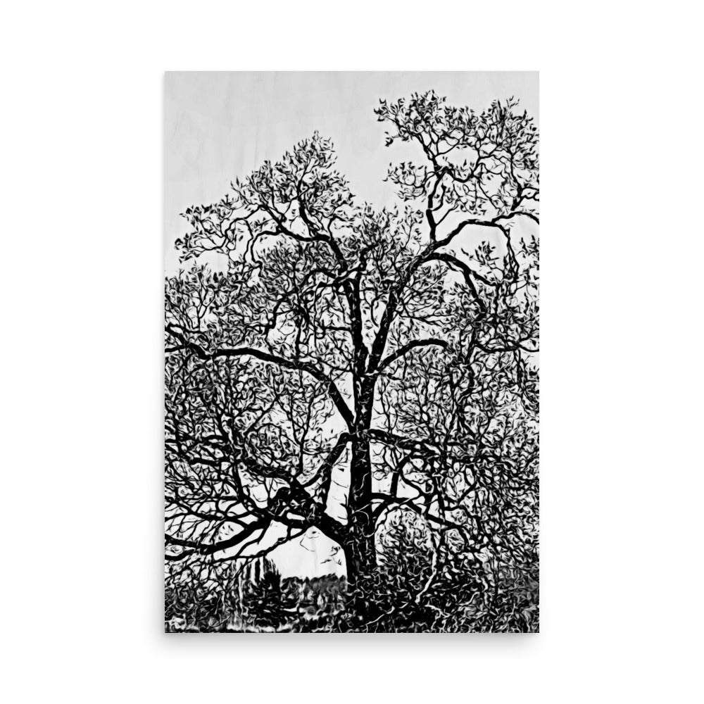 poster print art in black and white of a massive tree in canada