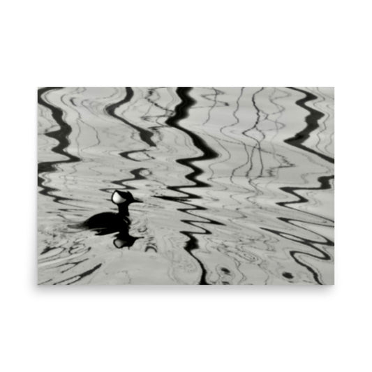 black and white photo of a bird swimming