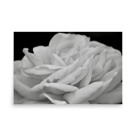 floral print poster in black and white