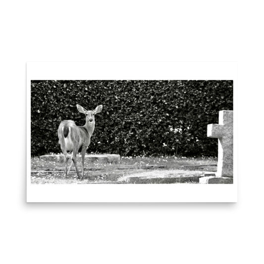 black and white photo of a deer surprised in a graveyard
