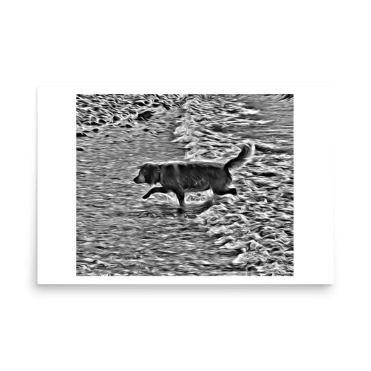 poster print art