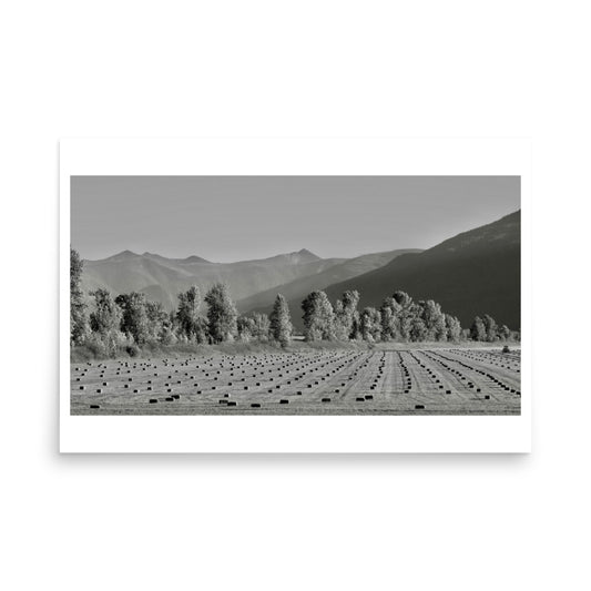 Creston BC Harvest Fields