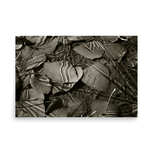 black and white print poster of light play from ice