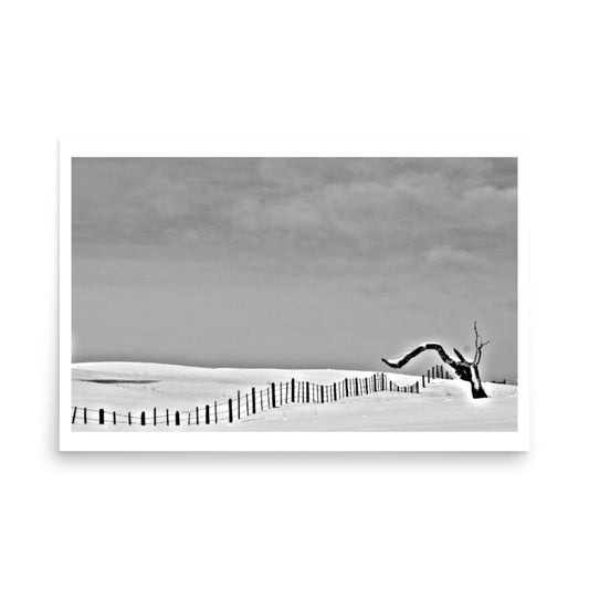 poster print black and white
