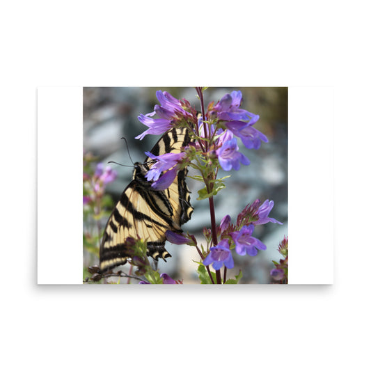 print poster of a yellow butterfly in purple flowers