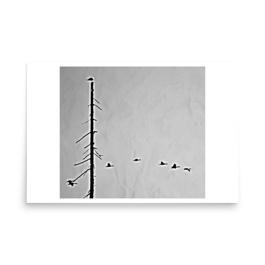 print art canada geese