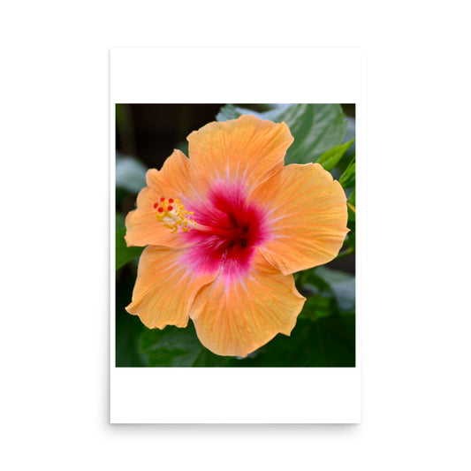 taiwan floral print poster