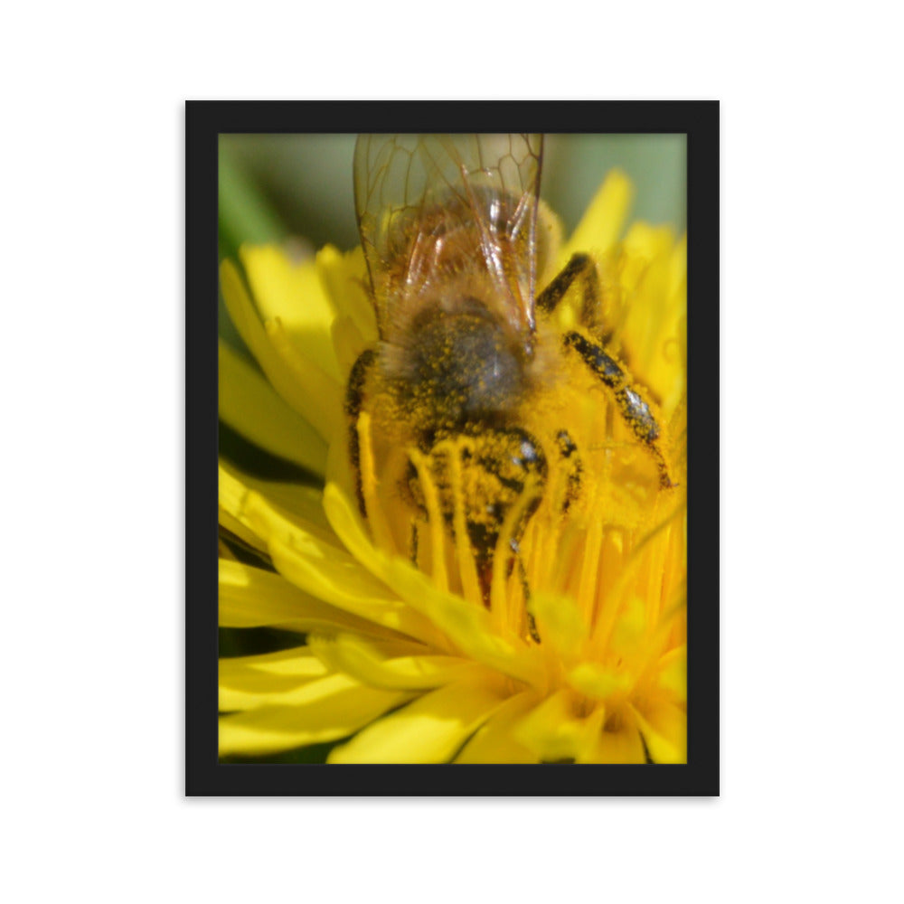 Bee Pollen Poster Art