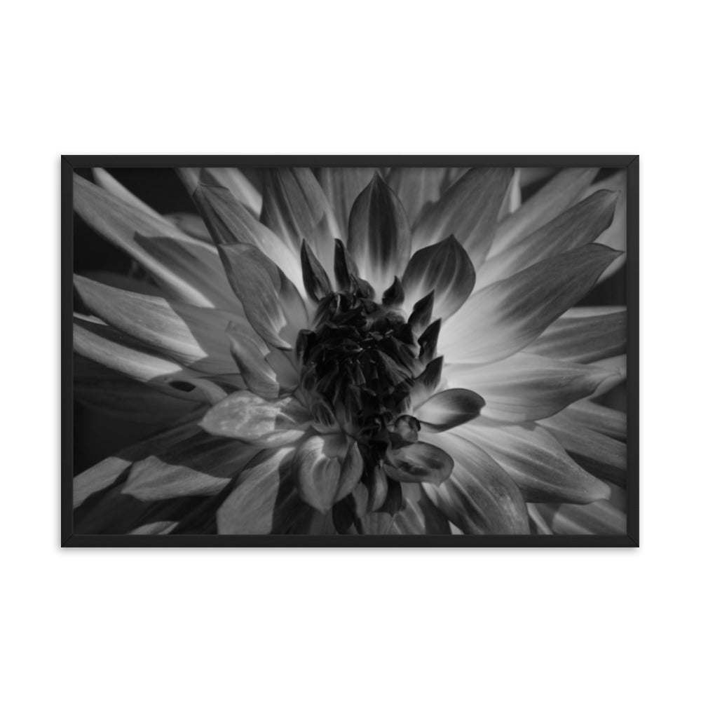 Black and White Floral Poster Art