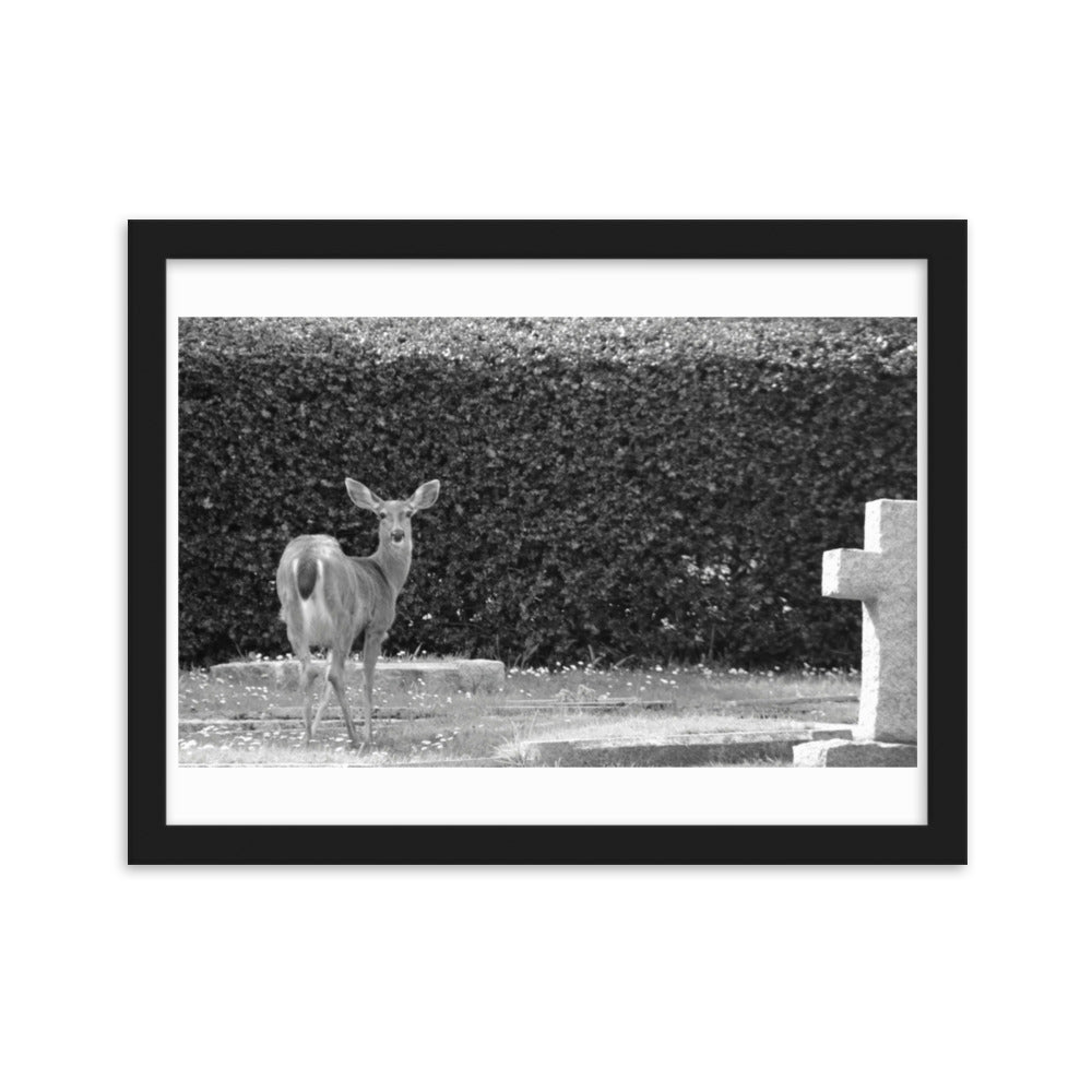 Black and White Poster Graveyard Deer