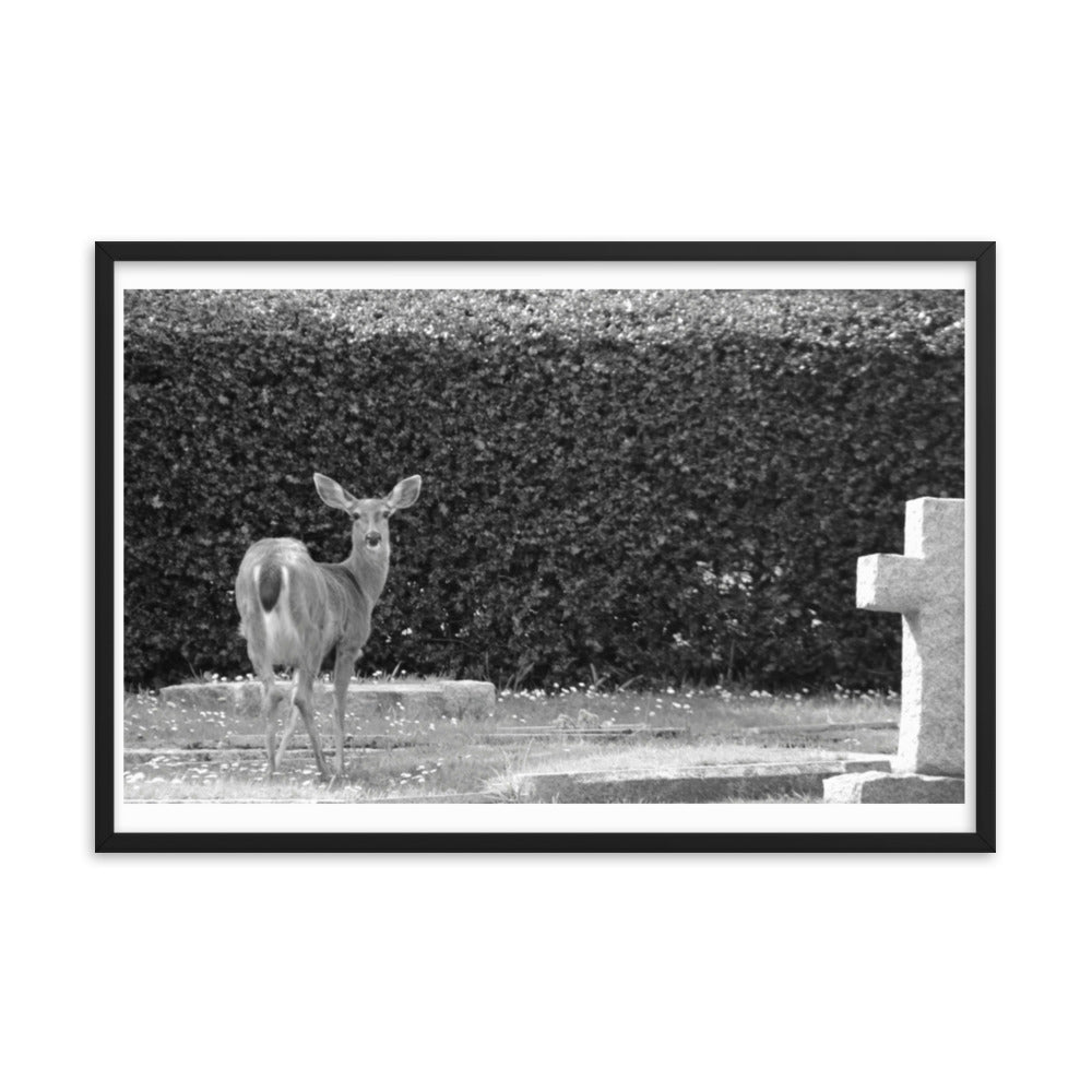 Black and White Print - Deer in Graveyard