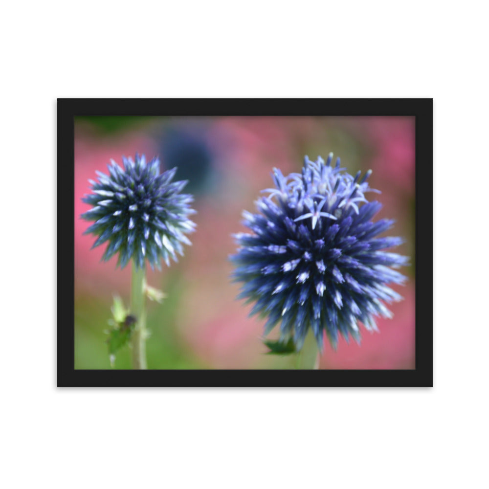Blue Florals Nature Photography