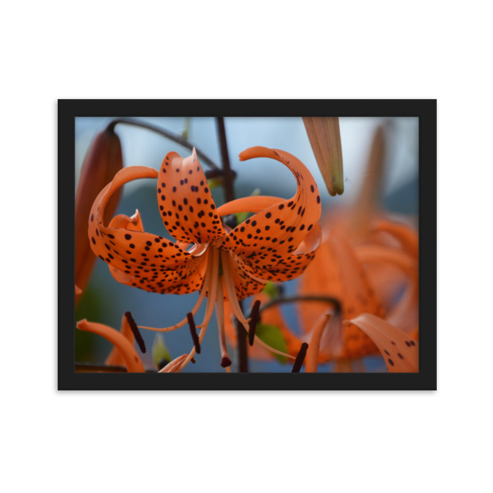Floral Photography Print