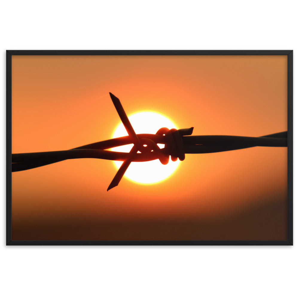 Kelowna Sunset Barbed Wire