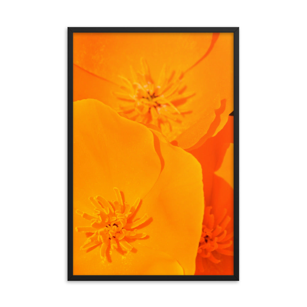 Orange Floral Poster Art