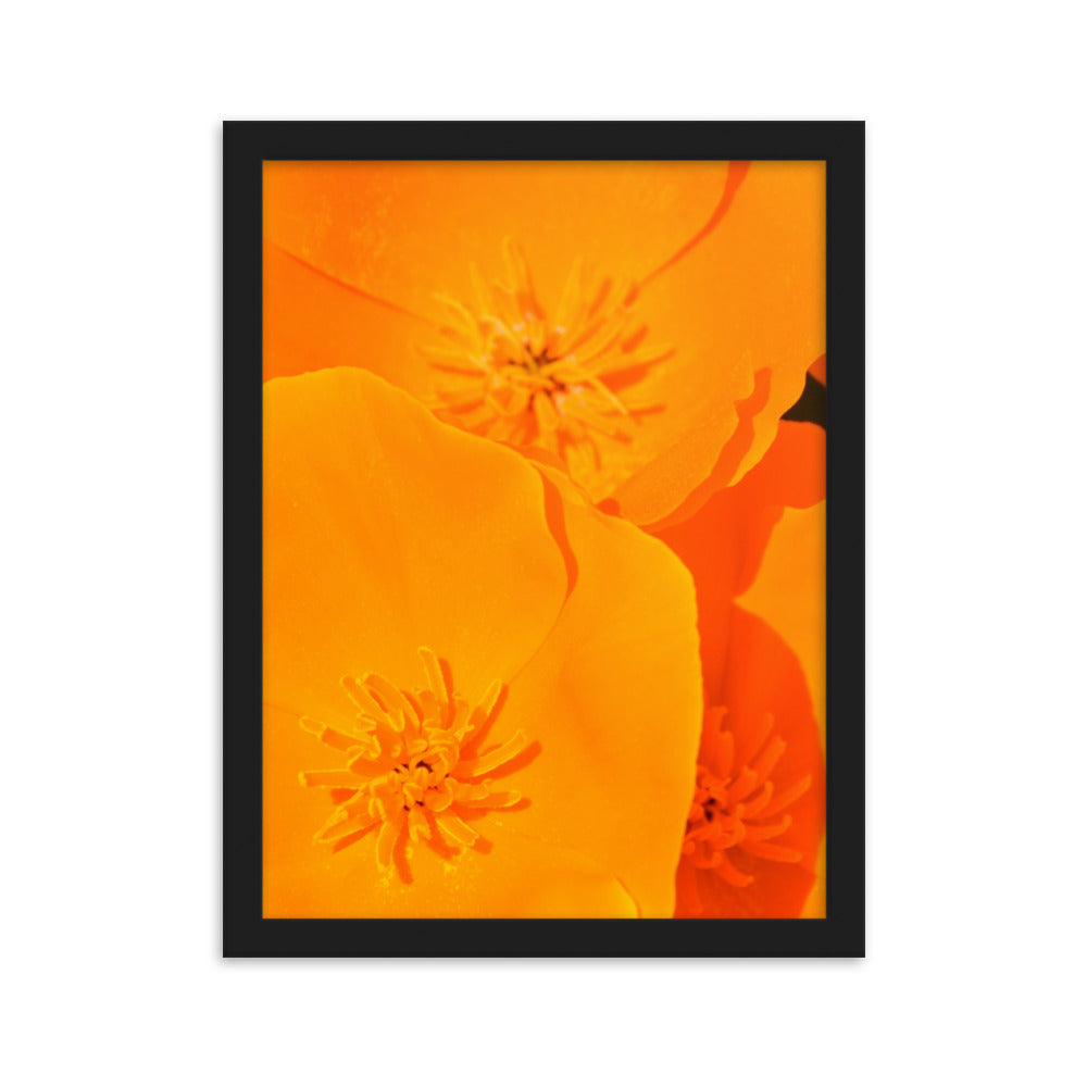 Orange Floral Print Art