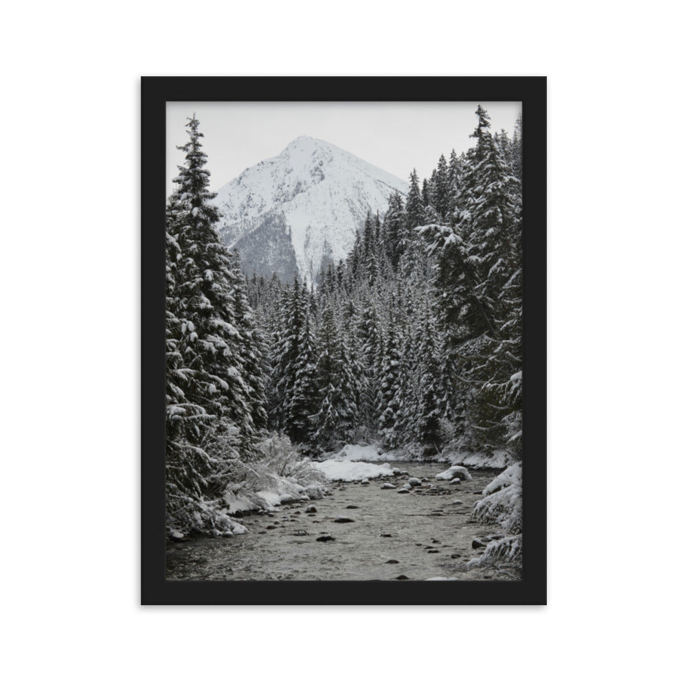 Winter Drive British Columbia Interior