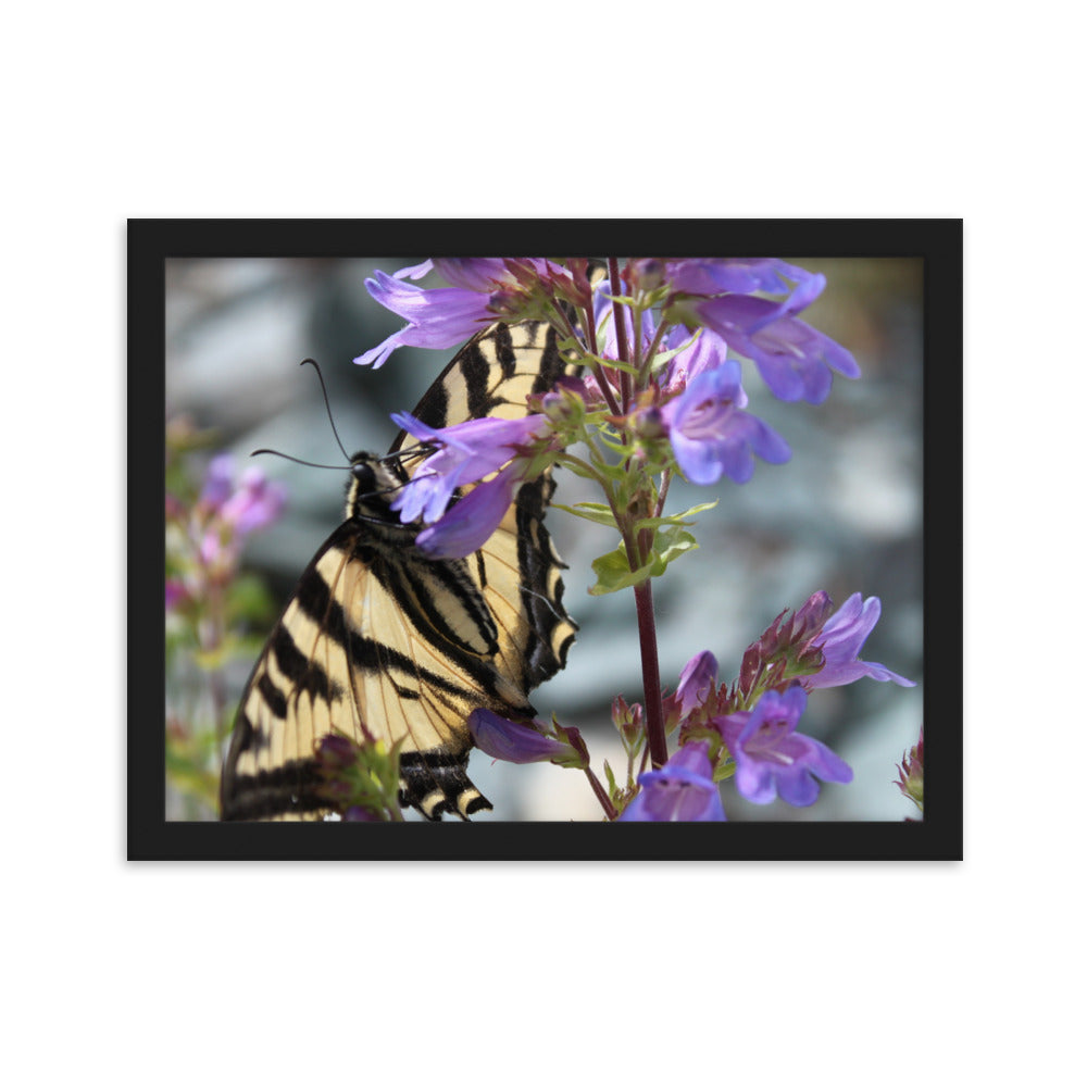 Yellow Butterfly Nature Poster