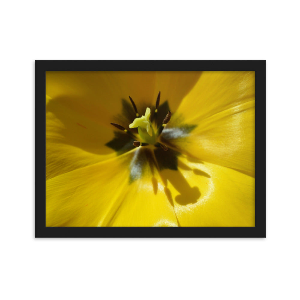 Yellow Floral Art Poster
